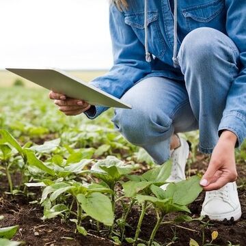 Frau prüft ihre Pflanzen auf dem Feld