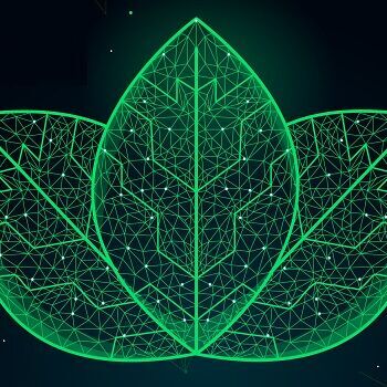 Blätter aus grünen netzartigen Geweben in digitaler Optik