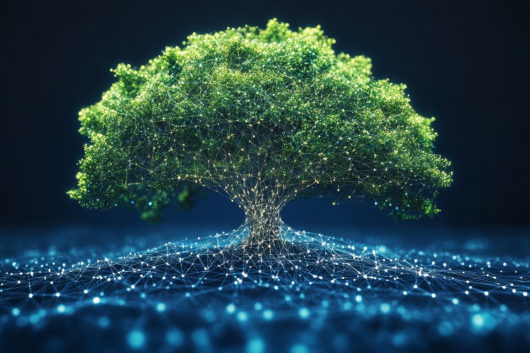 Digital vernetzter Baum