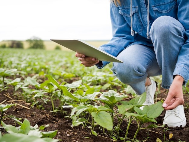 Frau prüft ihre Pflanzen auf dem Feld